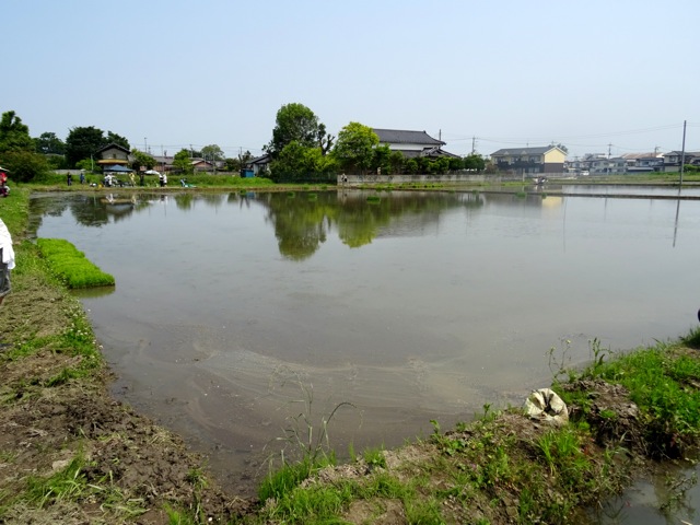 satoyama01