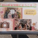 旧山崎家別邸で春を感じるイベント、『花VILLA写真館』開催中！